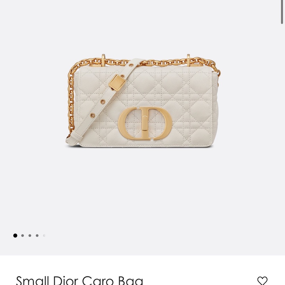 Dior bag